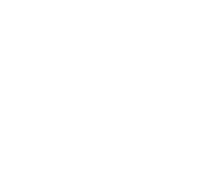 The Beauty School